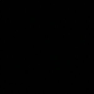 Meet your Posher, Will